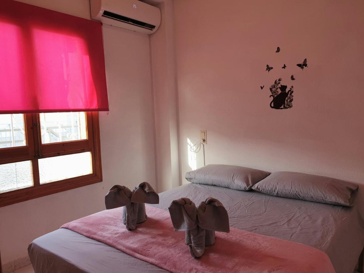 Penthouse Residencial Virginia Apartment Torrevieja Ngoại thất bức ảnh